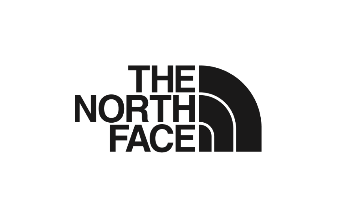 the north face logo1
