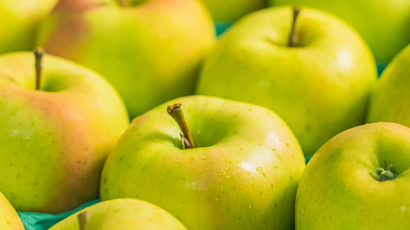 平面攝影＿食品攝影＿蘋果