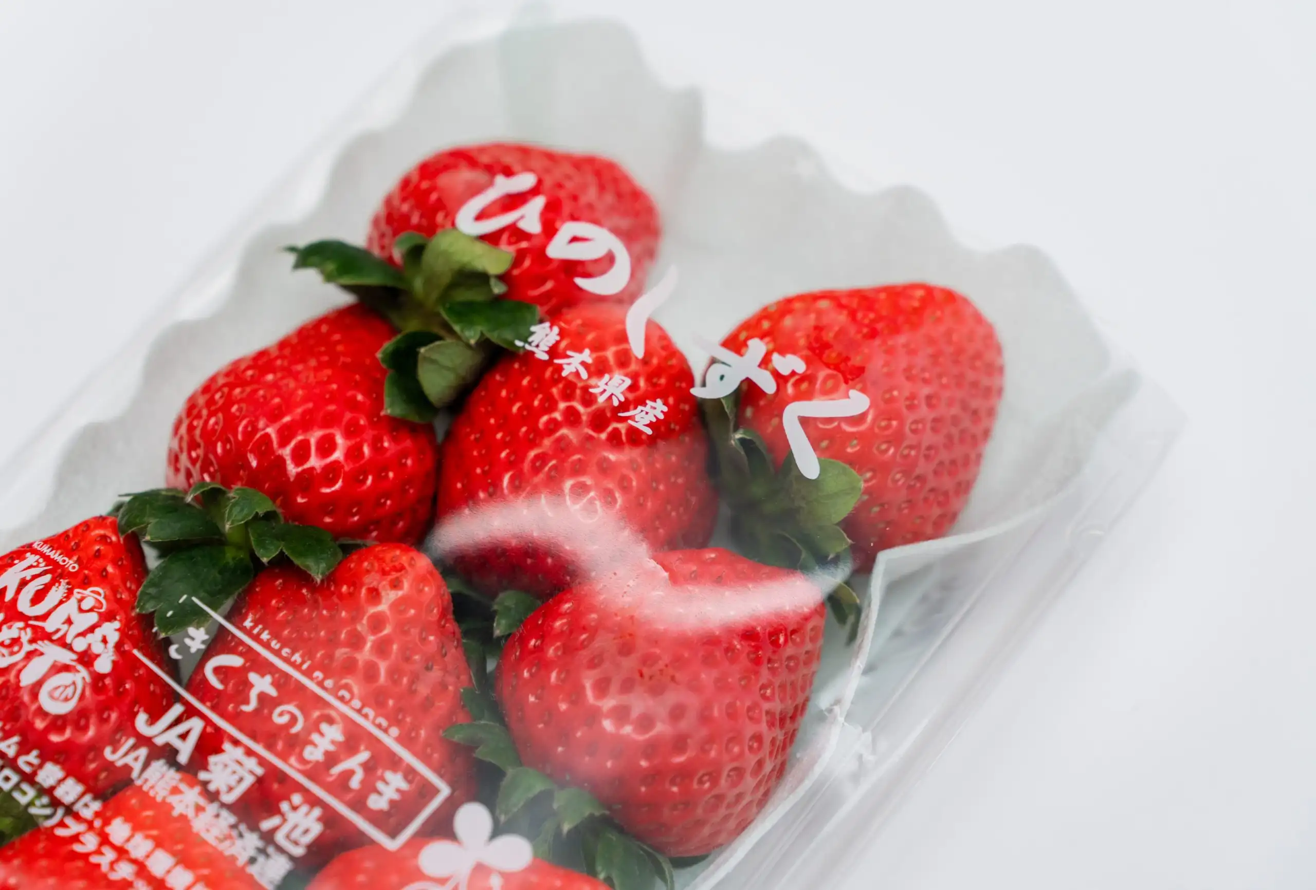 食品阿福4-scaled